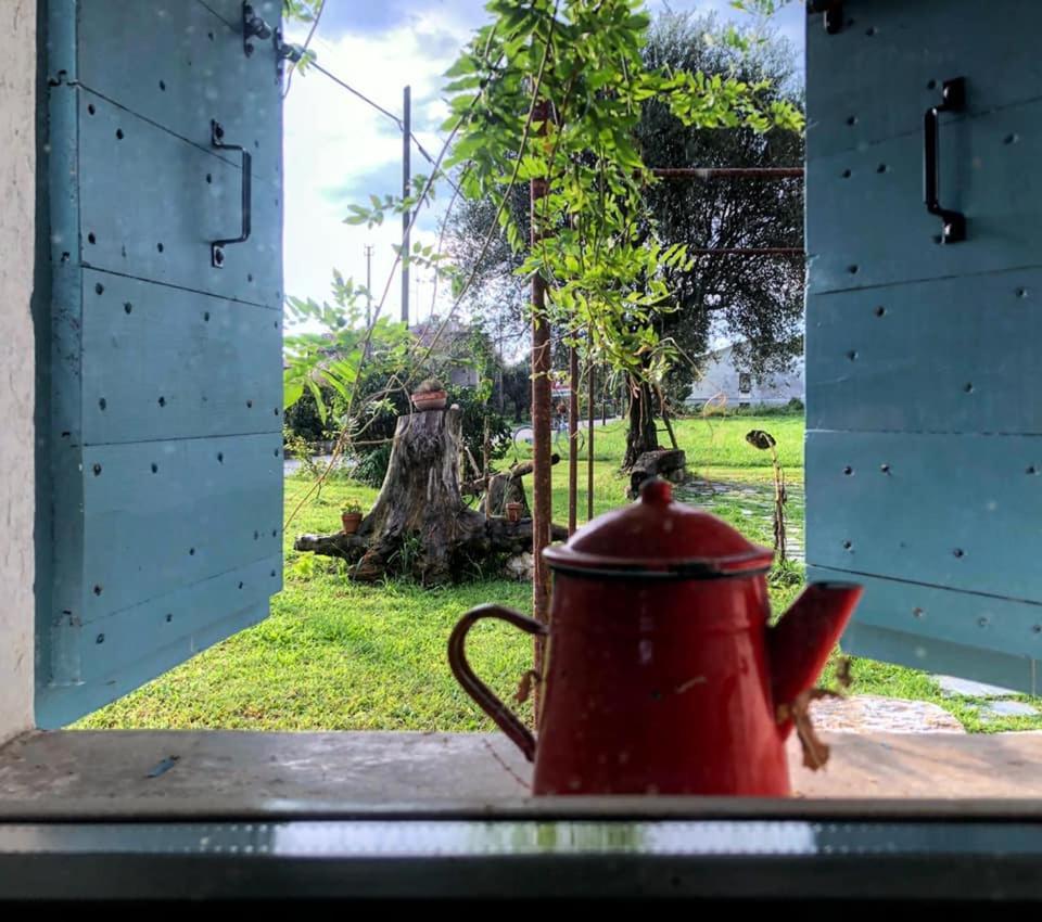 B&B Carlonga Caneva Bagian luar foto