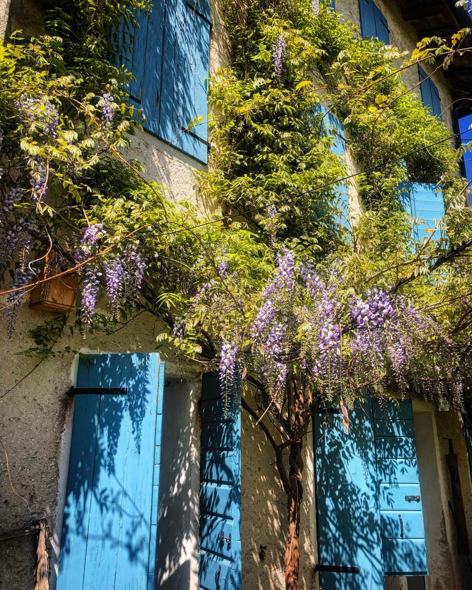 B&B Carlonga Caneva Bagian luar foto